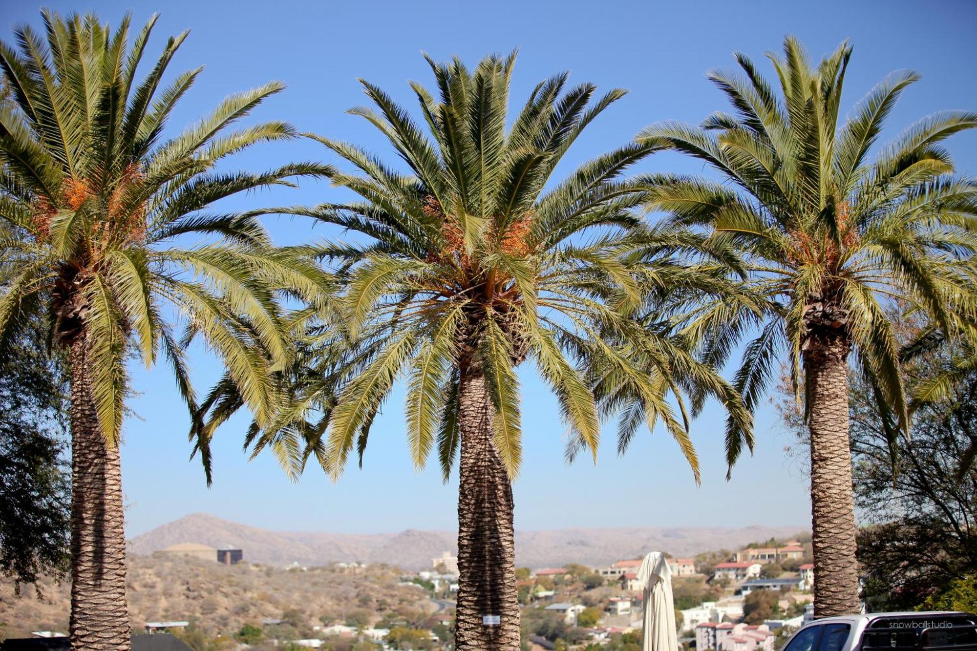 Hotel Thule Windhoek Exterior foto